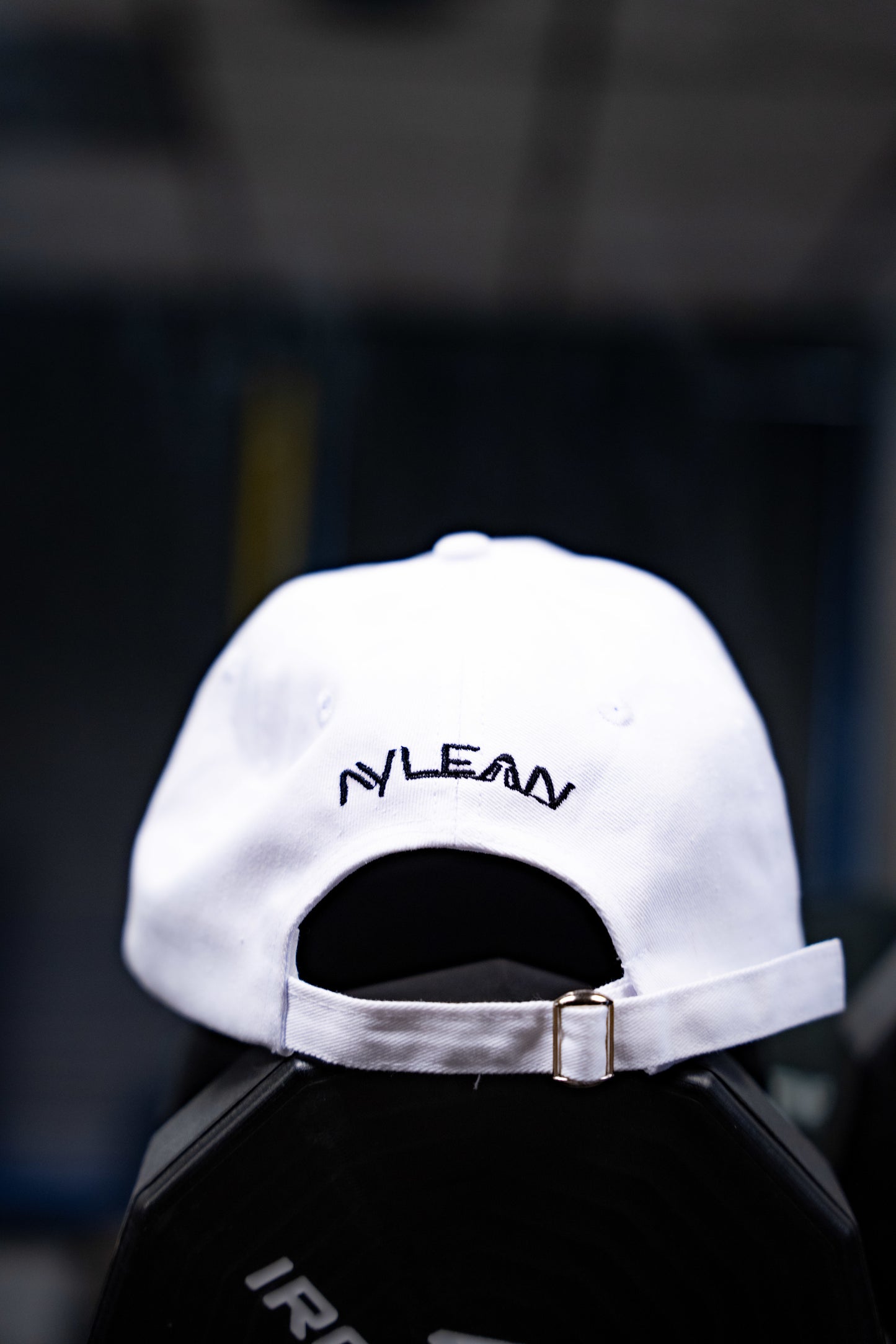 Aylean Dad Hat